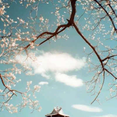 悟空ol手游官方下载